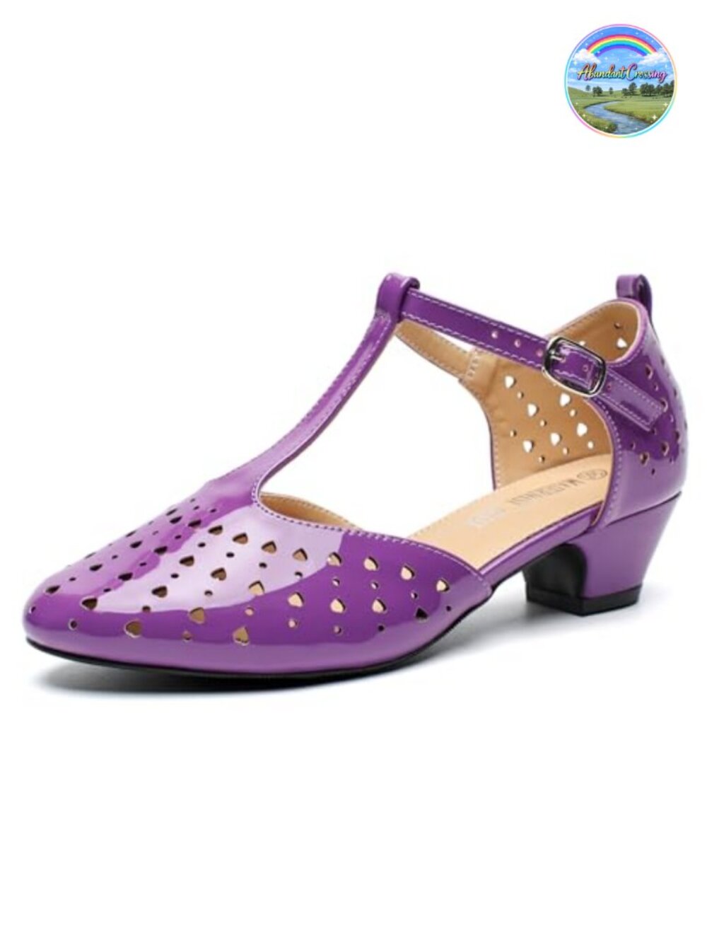 Women's T-Strap Mary Jane Pumps Low Block Heel Closed Toe Buckle Ankle Strap